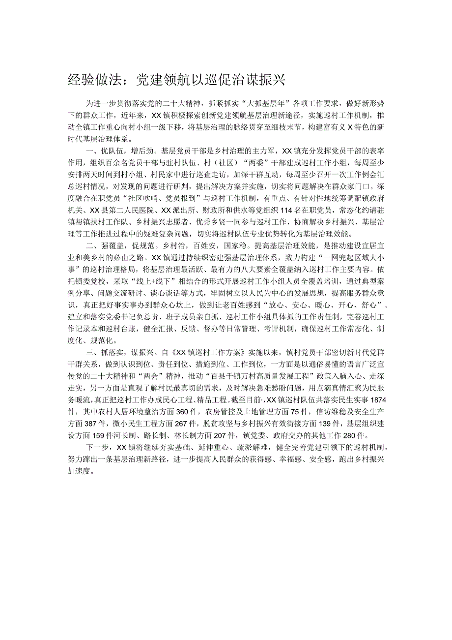 经验做法：党建领航以巡促治谋振兴.docx_第1页