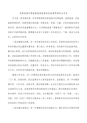 巡察监督纪律监督监察监督派驻监督贯通体会发言.docx