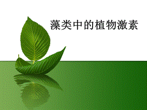 藻类中的植物激素.ppt