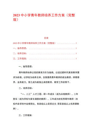 2023中小学青年教师培养工作方案（完整版）.docx