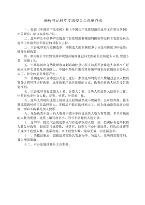 支部委员会选举办法.docx