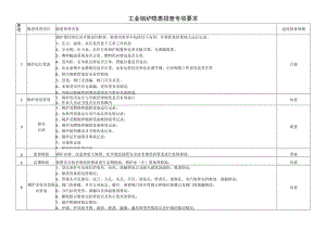 工业锅炉隐患排查专项要求.docx