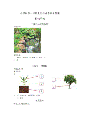 2023教科版一年级上册科学课堂作业本参考答案.docx