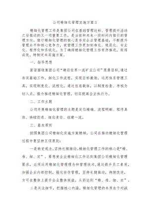 公司精细化管理实施方案3.docx