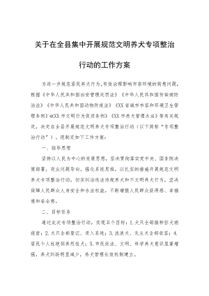 在全县集中开展规范文明养犬专项整治行动的工作方案.docx