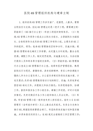 医院6S管理组织机构与建章立制.docx