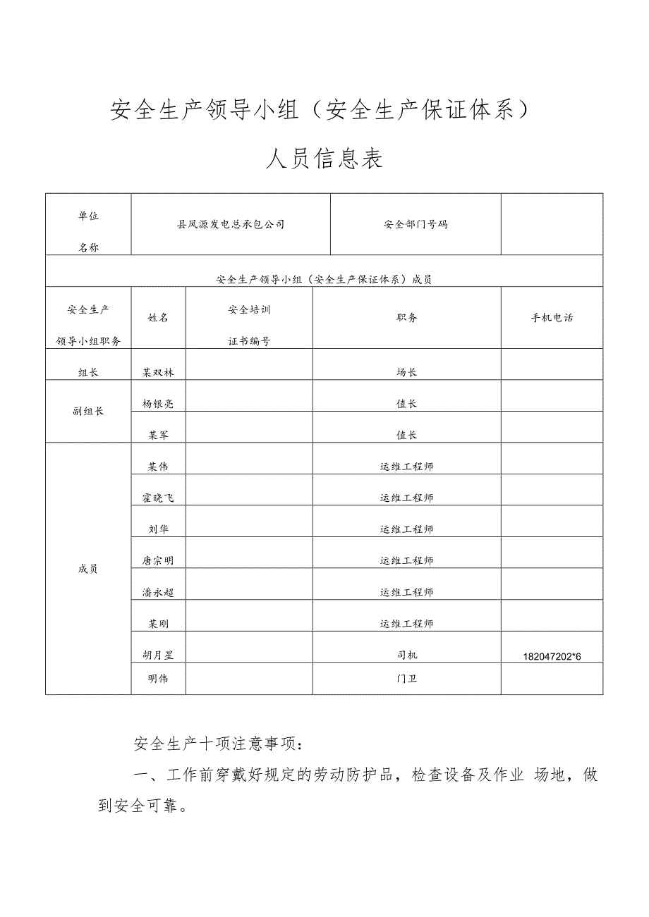 安全生产领导小组（安全生产保证体系）人员信息表.docx_第1页