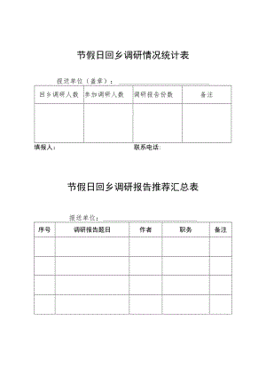 节假日回乡调研情况统计表.docx