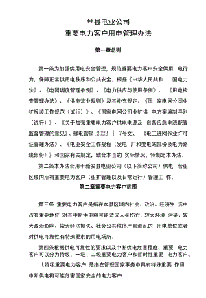 电业公司重要电力客户用电管理办法.docx