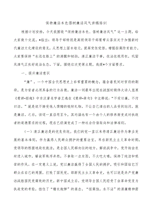 保持廉洁本色倡树廉洁风气讲稿培训.docx