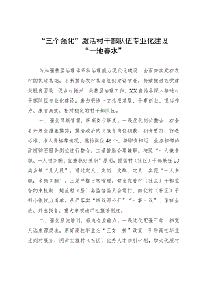 经验材料：“三个强化”激活村干部队伍专业化建设“一池春水”.docx