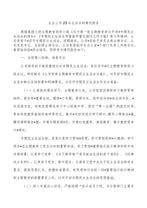 企业公司23年生活会的情况报告.docx