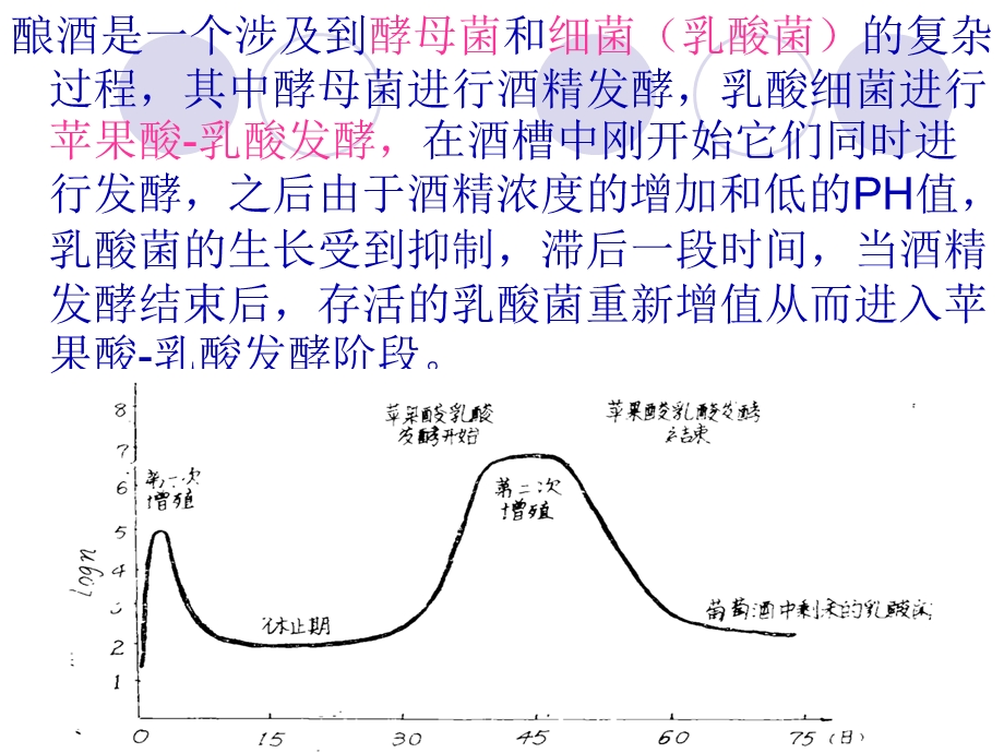 苹果酸乳酸发酵.ppt_第3页