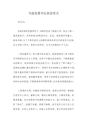 当选党委书记表态发言.docx