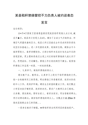 某县秸秆禁烧管控不力负责人被约谈表态发言.docx