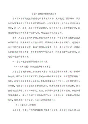 企业全面预算管理问题对策.docx