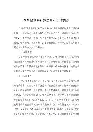 XX区供销社安全生产工作要点.docx