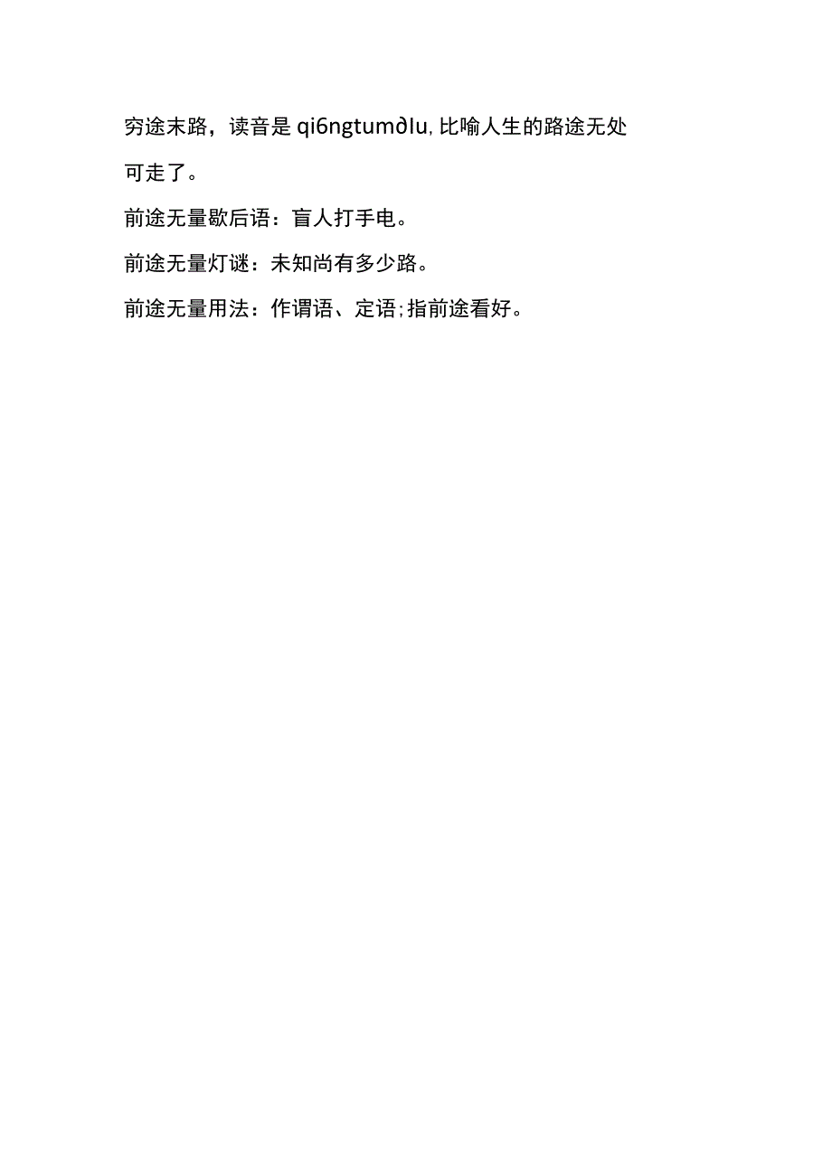 前途无亮的意思.docx_第2页