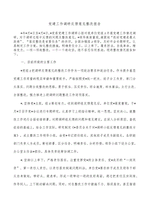 党建工作调研反馈意见整改报告.docx