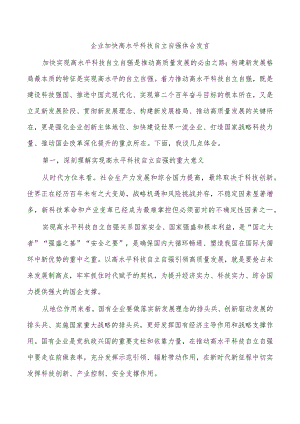 企业加快高水平科技自立自强体会发言.docx