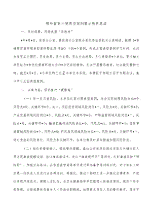 破坏营商环境典型案例警示教育总结.docx