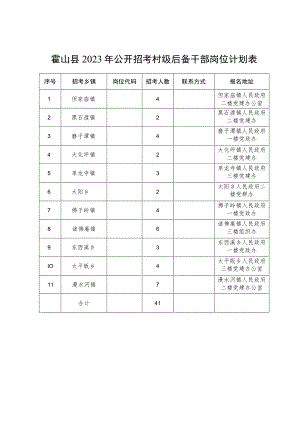 霍山县2023年公开招考村级后备干部岗位计划表.docx