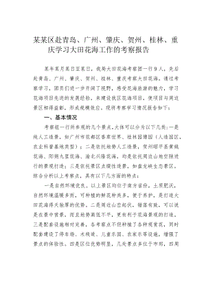 某某区赴青岛、广州、肇庆、贺州、桂林、重庆学习大田花海工作的考察报告.docx