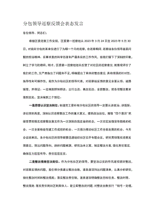 分包领导巡察反馈会表态发言.docx