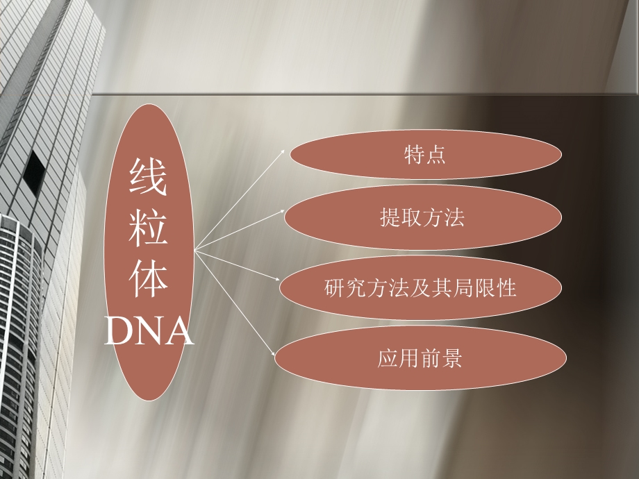 鱼类线粒体DNA.ppt_第3页