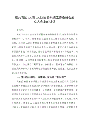 在共青团xx市XX区国资系统工作委员会成立大会上的讲话.docx