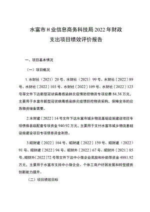 水富市工业信息商务科技局2022年财政支出项目绩效评价报告.docx