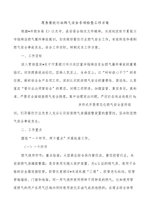 商务餐饮行业燃气安全专项检查工作方案.docx