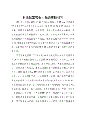 村级致富带头人先进事迹材料.docx