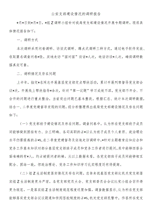 公安支部建设情况的调研报告.docx