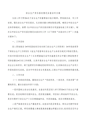 安全生产责任落实情况自查自纠方案.docx