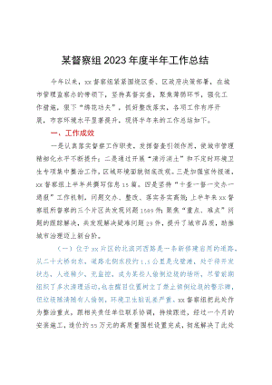 某督察组2023年度半年工作总结.docx