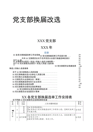 党支部换届改选材料.docx