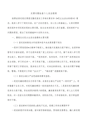 反馈问题检查个人发言提纲.docx