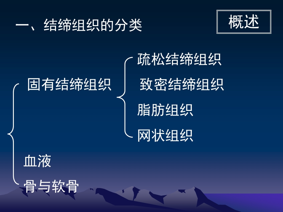 03结缔组织授课用.ppt_第3页