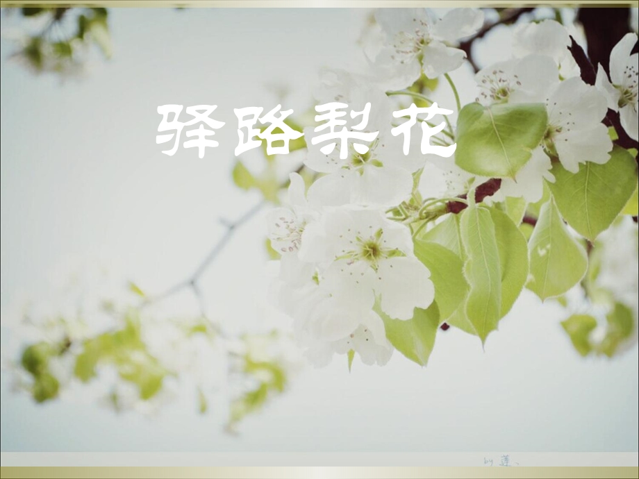 14驿路梨花PPT课件.ppt_第1页