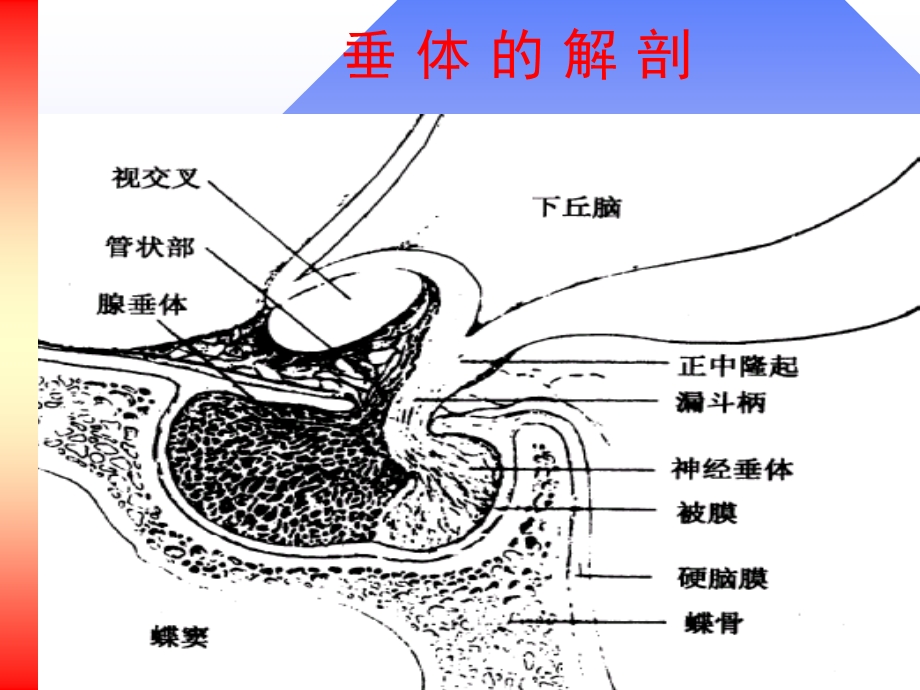 老人日语大全.ppt_第3页