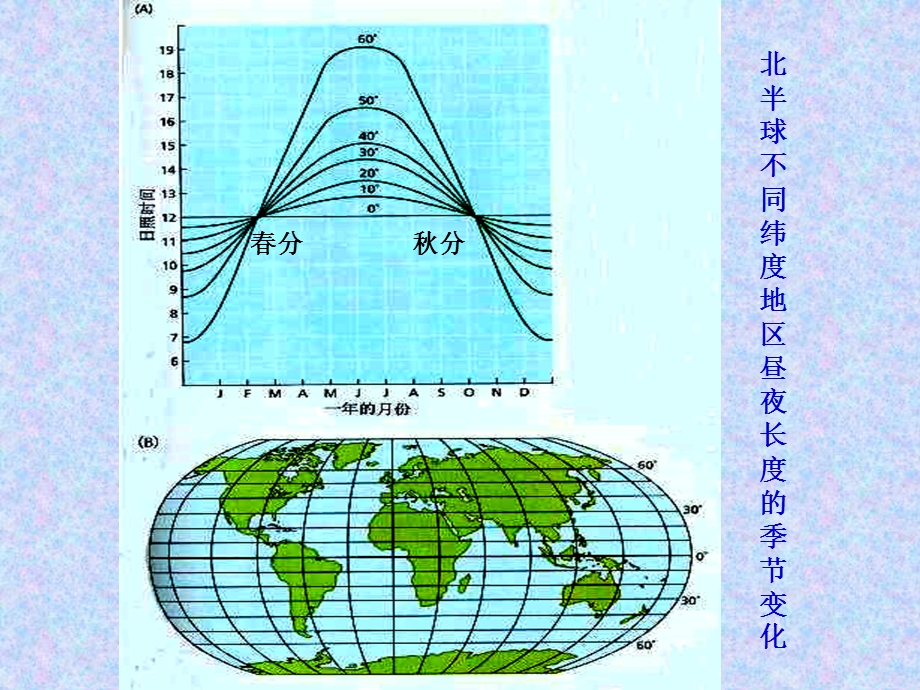 10第十三章——光周期现象.ppt_第3页