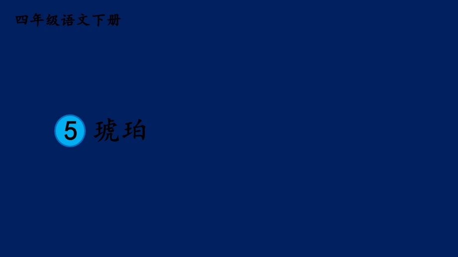 5琥珀课件.ppt_第2页