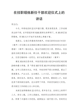 在挂职锻炼新任干部欢迎仪式上的讲话.docx