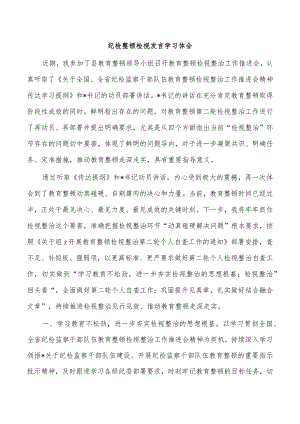 纪检整顿检视发言学习体会.docx