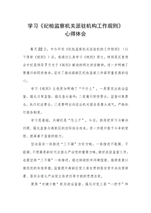 学习《纪检监察机关派驻机构工作规则》心得体会.docx