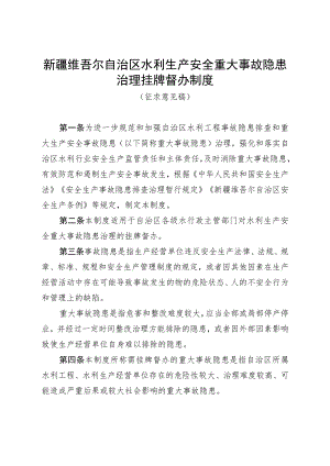 自治区水利生产安全重大事故隐患治理挂牌督办制度.docx