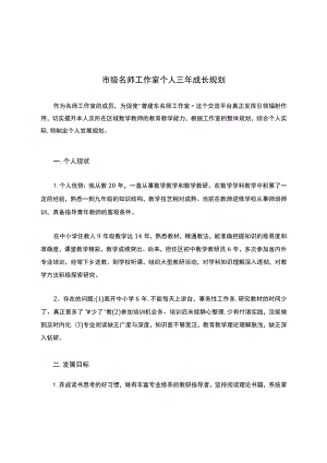 市级名师工作室个人三年成长规划.docx