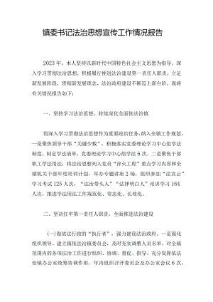 镇委书记法治思想宣传工作情况报告.docx