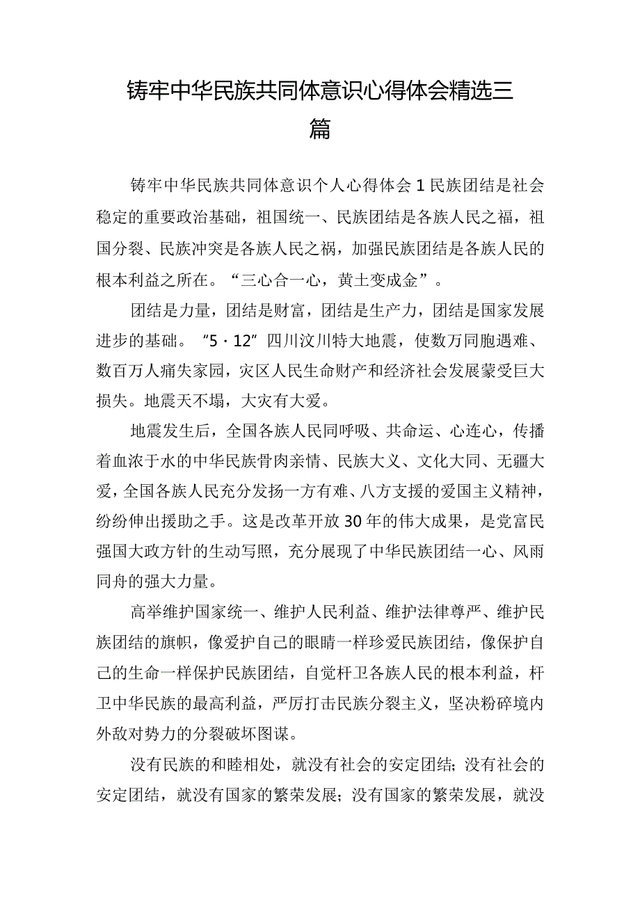 铸牢中华民族共同体意识心得体会精选三篇.docx_第1页